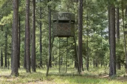 Tree stand