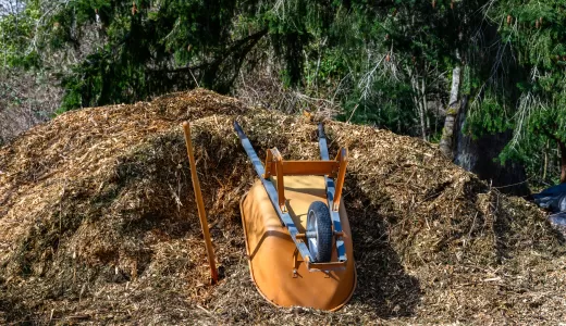 Mulch pile