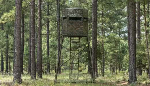 Tree stand